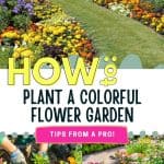 Colorful summer garden flowers are a great way to add life and beauty to your outdoor space this summer. There's no need to spend hours stressing about what to plant when you can find all of the perfect plants at your local garden center.