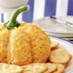 Prepare the perfect fall appetizer for family and friends with this Pumpkin Shaped Cheeseball. It looks just as good as it tastes and is the ideal addition to your fall party menu. Dip some of your favorite foods into it to add that extra cheesy touch!