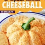 Prepare the perfect fall appetizer for family and friends with this Pumpkin Shaped Cheeseball. It looks just as good as it tastes and is the ideal addition to your fall party menu. Dip some of your favorite foods into it to add that extra cheesy touch!