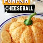 Prepare the perfect fall appetizer for family and friends with this Pumpkin Shaped Cheeseball. It looks just as good as it tastes and is the ideal addition to your fall party menu. Dip some of your favorite foods into it to add that extra cheesy touch!