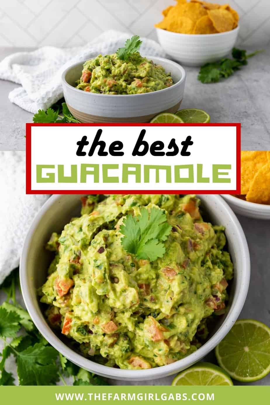 Homemade Guacamole - The Farm Girl Gabs®