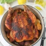This Dutch Oven Roasted Chicken is the ultimate one-pot meal! Juicy chicken with a crispy golden brown skin is roasted to perfection with lemon and garlic, along with potatoes that soak up all the delicious flavors.
