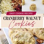 These Cranberry Pecan Cookies with White Chocolate are amazing. They're packed with tart cranberries, crunchy pecans, and creamy white chocolate chips - a flavor combo that's hard to beat. The best part is they're super easy to make and perfect for any occasion. You can bake them for the holidays or just when you're craving something sweet